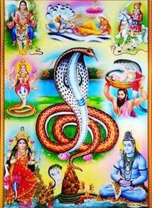 Nag Panchami Pooja Vidhi PDF